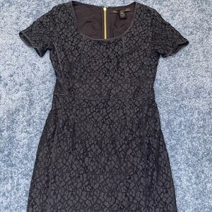 Elegant Navy Lace Dress